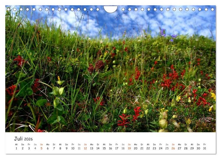 Produktbild: Nordnorwegen im Licht (Wandkalender 2026 DIN A4 quer), CALVENDO Monatskalender