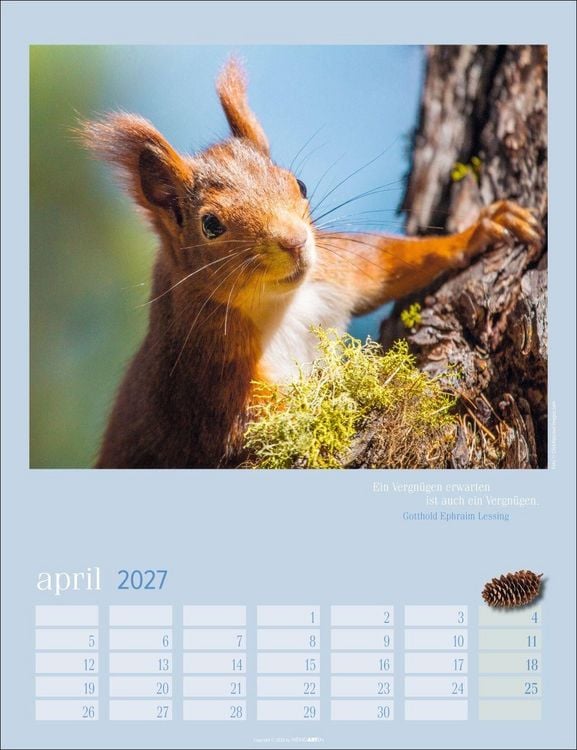 Produktbild: Eichh&ouml;rnchen Kalender 2027