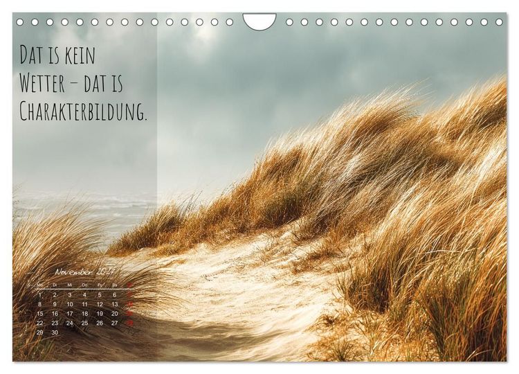Produktbild: Moin Moin ist schon gesabbel - Norddeutscher Spr&uuml;che-Kalender (Wandkalender 2027 DIN A4 quer), CALVENDO Monatskalender