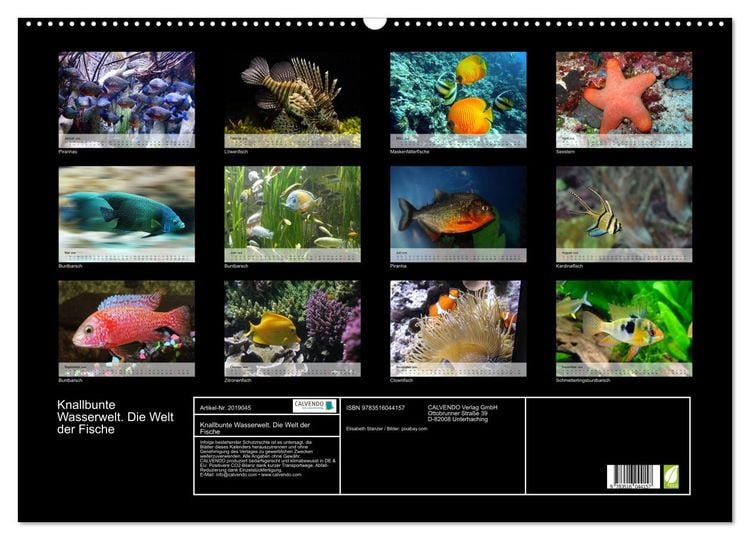 Produktbild: Knallbunte Wasserwelt. Die Welt der Fische (Wandkalender 2026 DIN A2 quer), CALVENDO Monatskalender