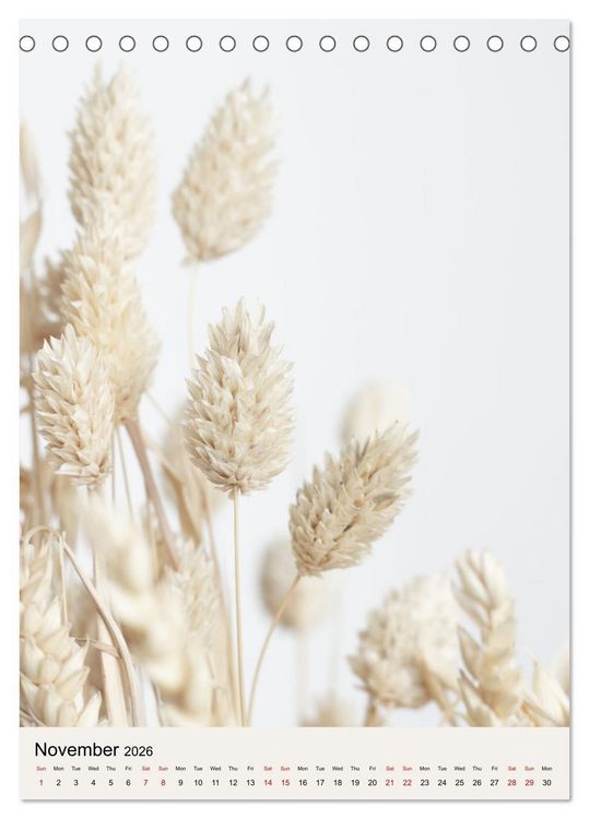 Produktbild: Dried Flowers (Desk Calendar 2026 DIN A5 portrait), CALVENDO 12 Month DeskCalendar