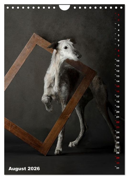 Produktbild: dogmuse deluxe (Wandkalender 2026 DIN A4 hoch), CALVENDO Monatskalender