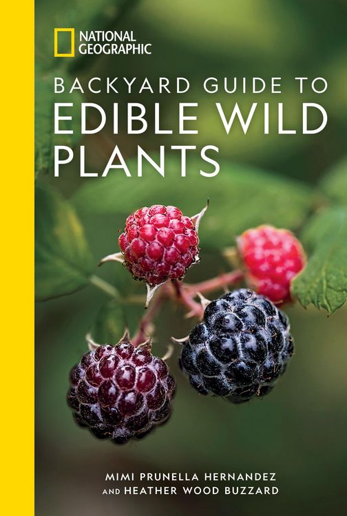 Produktbild: National Geographic Backyard Guide to Edible Wild Plants