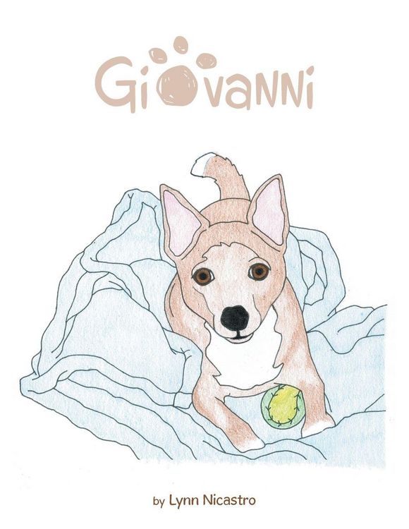 Produktbild: Giovanni