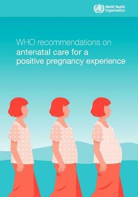 Produktbild: Who Recommendations on Antenatal Care for a Positive Pregnancy Experience