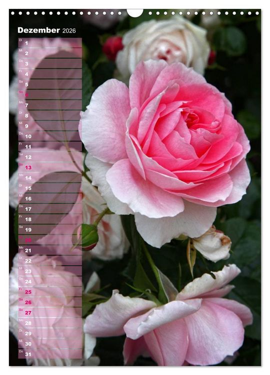 Produktbild: Rosen f&uuml;r DICH / Geburtstagskalender (Wandkalender 2026 DIN A3 hoch), CALVENDO Monatskalender