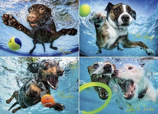 Produktbild: Underwater Dogs 2 1000-Piece Puzzle