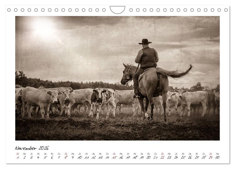 Produktbild: Mecklenburgs Wilder Westen (Wandkalender 2026 DIN A4 quer), CALVENDO Monatskalender