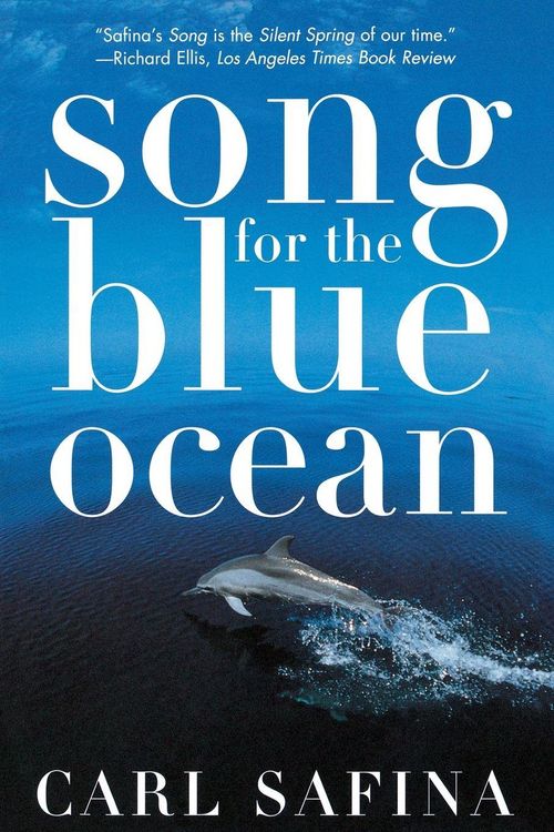 Produktbild: Song for the Blue Ocean