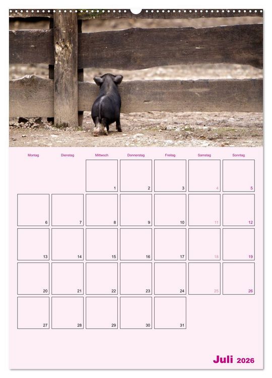 Produktbild: Schweinischer Terminplaner (Wandkalender 2026 DIN A2 hoch), CALVENDO Monatskalender