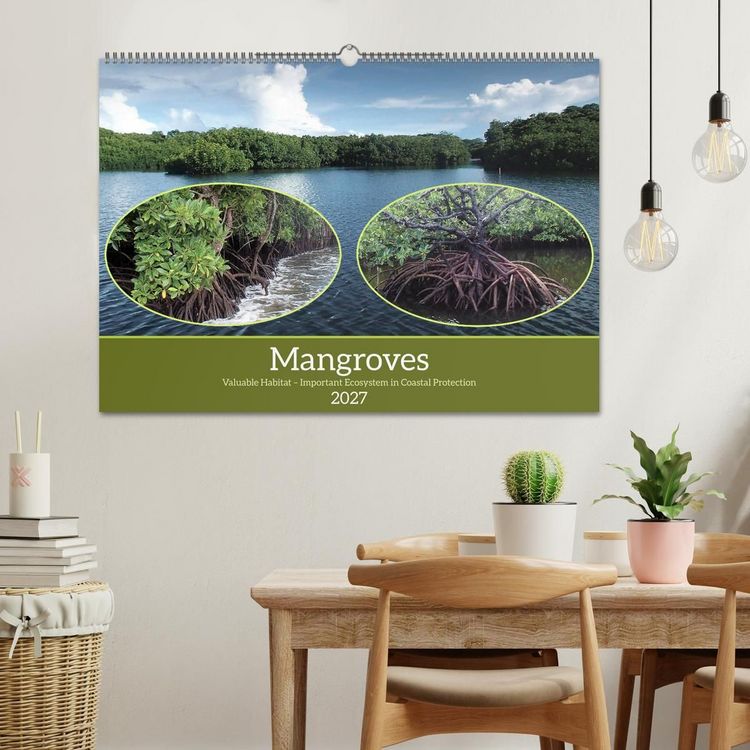 Produktbild: Mangroves - Valuable Habitat (Wall Calendar 2027 DIN A2 landscape), CALVENDO 12 Month Wall Calendar