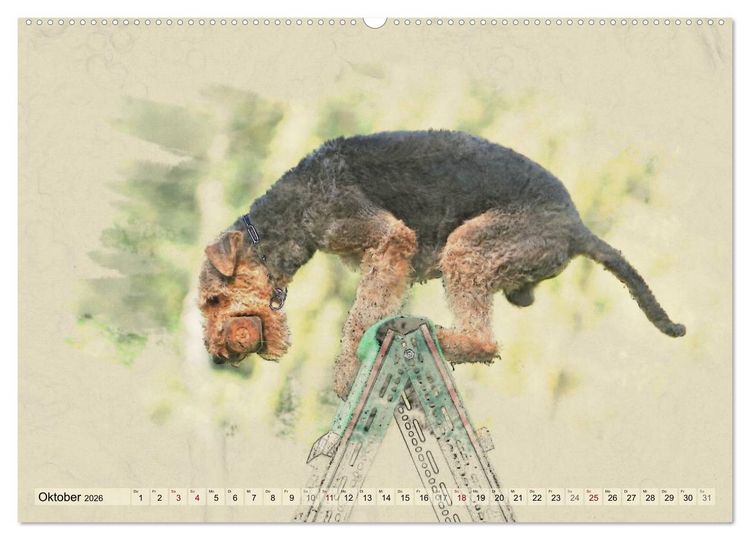 Produktbild: Airedale Terrier 2026 (hochwertiger Premium Wandkalender 2026 DIN A2 quer), Kunstdruck in Hochglanz