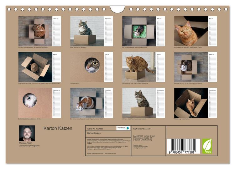 Produktbild: Karton Katzen (Wandkalender 2026 DIN A4 quer), CALVENDO Monatskalender