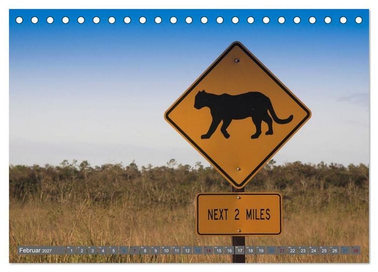 Produktbild: Sunshine State Florida Natur, Tierwelt und Nationalparks (Tischkalender 2027 DIN A5 quer), CALVENDO Monatskalender