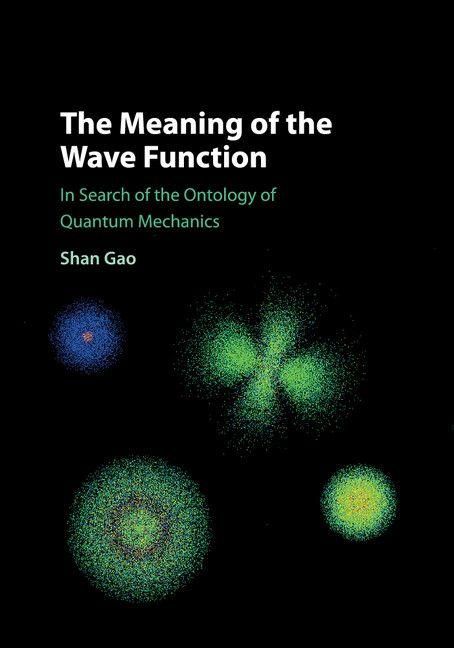 Produktbild: The Meaning of the Wave Function