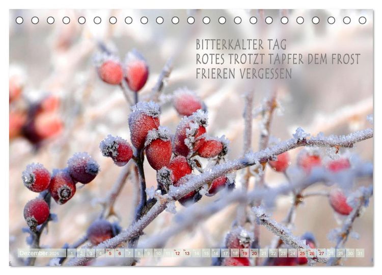 Produktbild: Haiku Poesie in Wort und Bild (Tischkalender 2026 DIN A5 quer), CALVENDO Monatskalender