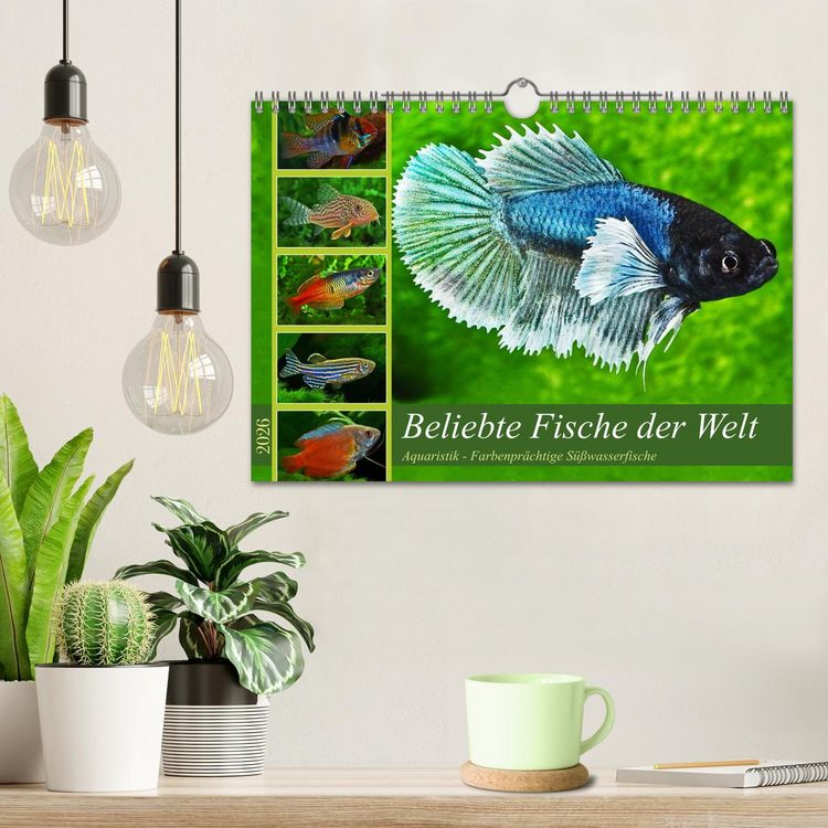 Produktbild: Beliebte Fische der Welt (Wandkalender 2026 DIN A4 quer), CALVENDO Monatskalender
