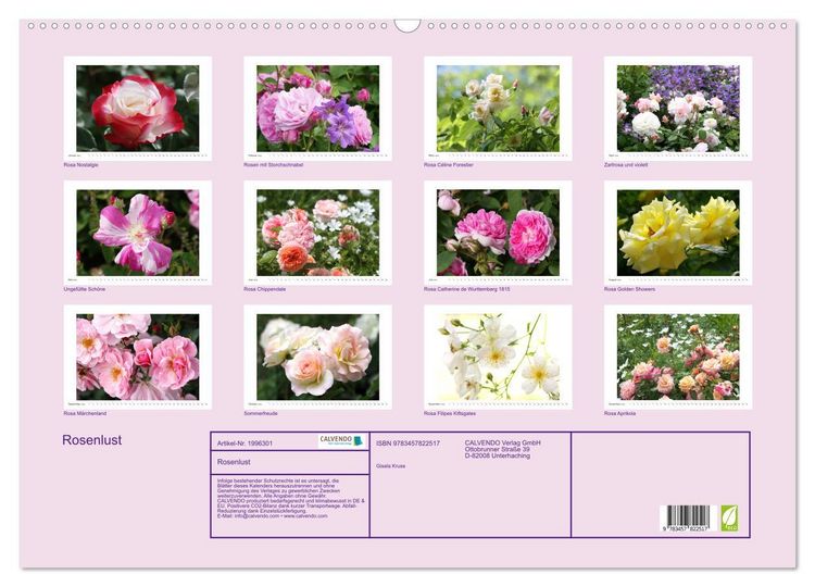 Produktbild: Rosenlust (Wandkalender 2026 DIN A2 quer), CALVENDO Monatskalender