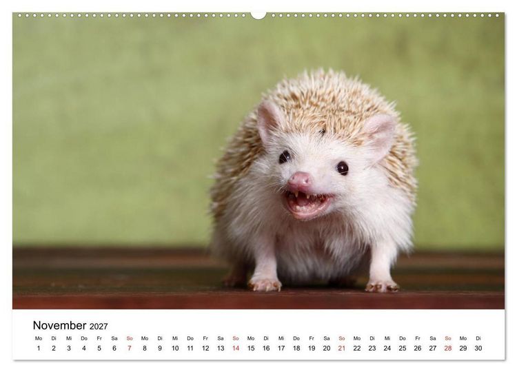 Produktbild: lach mit...just smile (hochwertiger Premium Wandkalender 2027 DIN A2 quer), Kunstdruck in Hochglanz