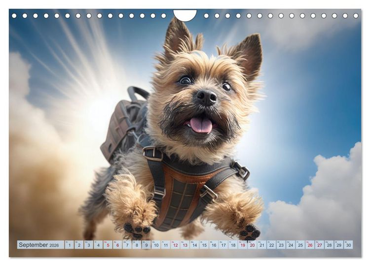 Produktbild: Hunde Skydiving (Wandkalender 2026 DIN A4 quer), CALVENDO Monatskalender