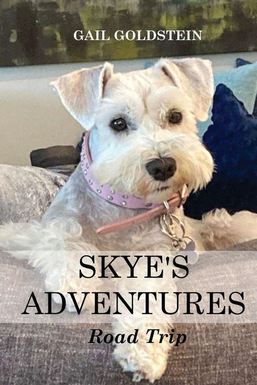 Produktbild: Skye's Adventures