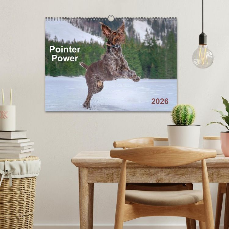 Produktbild: Pointer Power (Wall Calendar 2026 DIN A3 landscape), CALVENDO 12 Month Wall Calendar