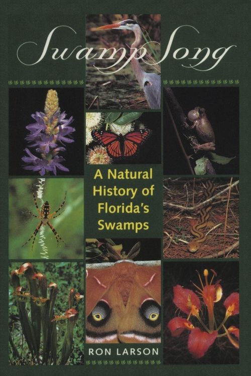 Produktbild: Swamp Song