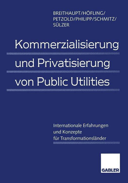 Produktbild: Kommerzialisierung und Privatisierung von Public Utilities