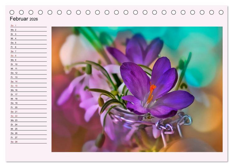 Produktbild: Lila - die mystische Farbe (Tischkalender 2026 DIN A5 quer), CALVENDO Monatskalender