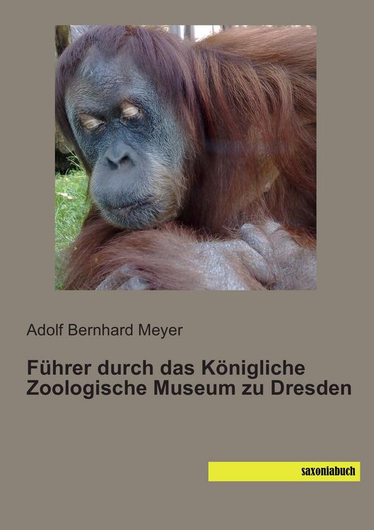 Produktbild: F&uuml;hrer durch das K&ouml;nigliche Zoologische Museum zu Dresden