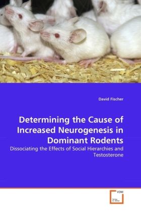 Produktbild: Fischer, D: Determining the Cause of Increased Neurogenesis