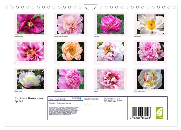 Produktbild: Pivoines - Roses sans &eacute;pines (Calendrier mural 2026 DIN A4 vertical), CALVENDO calendrier mensuel