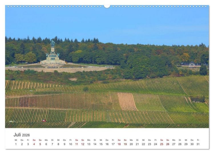 Produktbild: Rheingau - Land des Weines und der Bauwerks (hochwertiger Premium Wandkalender 2026 DIN A2 quer), Kunstdruck in Hochglanz