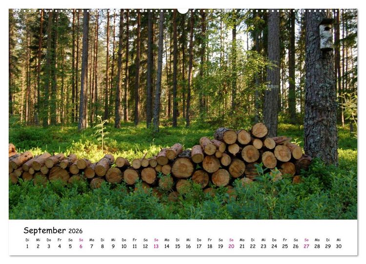 Produktbild: S&uuml;dschweden Smaland 2026 (hochwertiger Premium Wandkalender 2026 DIN A2 quer), Kunstdruck in Hochglanz