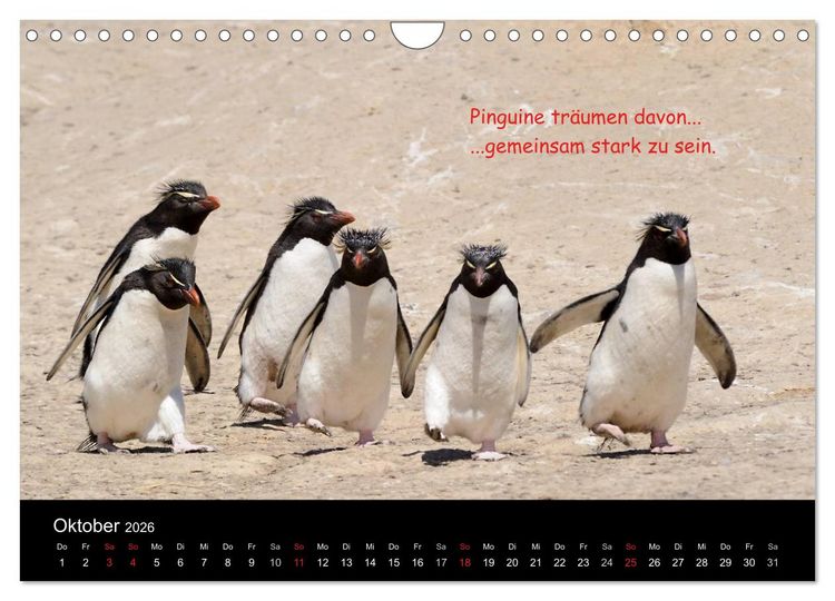 Produktbild: Wovon Pinguine tr&auml;umen (Wandkalender 2026 DIN A4 quer), CALVENDO Monatskalender