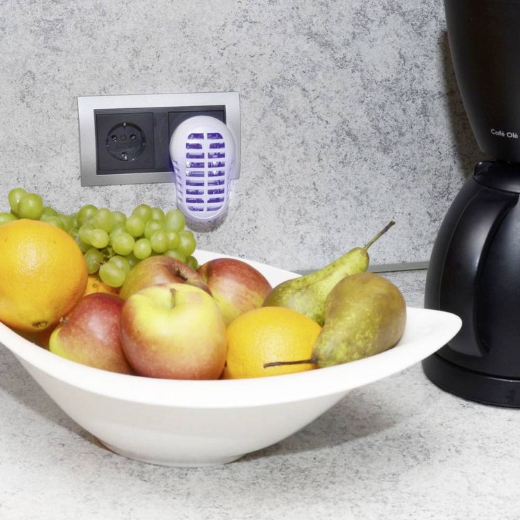 Produktbild: Gardigo UV-LED-Fruitvliegval 25143 UV-Insektenf&auml;nger UV-Licht, Stromgitter 1 W (B x H x T) 60 x 95 x 85 mm Wei&szlig; 1 St.