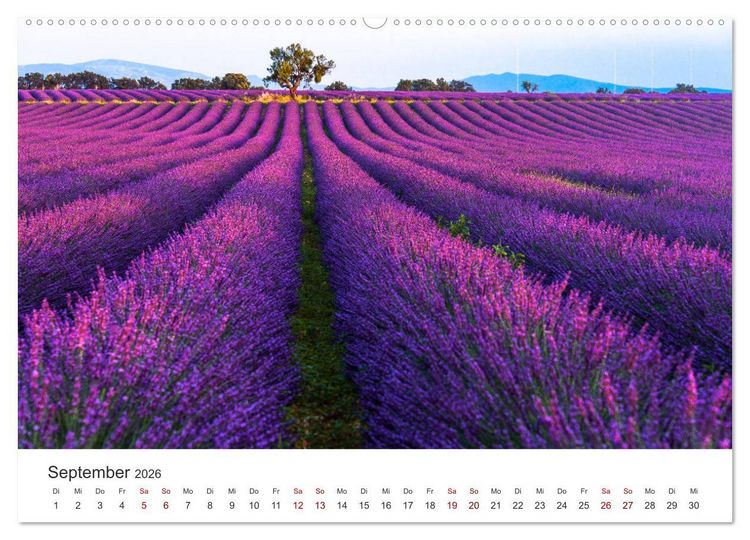 Produktbild: Tr&auml;ume aus Lavendel, Provence in Rosa bis Lila (Wandkalender 2026 DIN A2 quer), CALVENDO Monatskalender