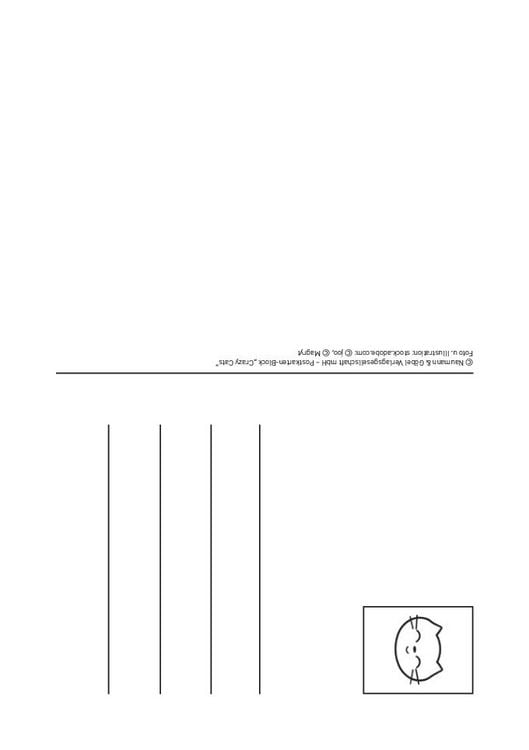 Produktbild: Postkartenblock Crazy Cats