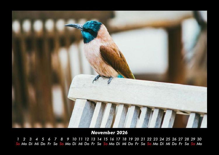 Produktbild: Vogelparadies 2026 Fotokalender DIN A3