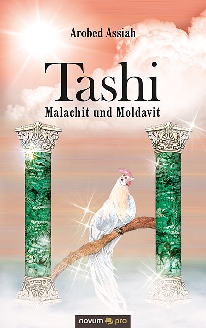 Produktbild: Tashi &ndash; Malachit und Moldavit