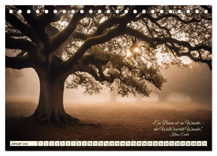 Produktbild: Waldbaden - Shinrin Yoku (Tischkalender 2026 DIN A5 quer), CALVENDO Monatskalender