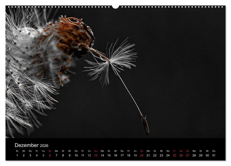 Produktbild: schwarz/wei&szlig; trifft farbe (hochwertiger Premium Wandkalender 2026 DIN A2 quer), Kunstdruck in Hochglanz