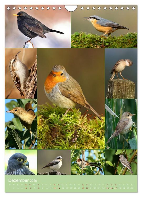 Produktbild: Alles f&uuml;r die V&ouml;gel (Wandkalender 2026 DIN A4 hoch), CALVENDO Monatskalender