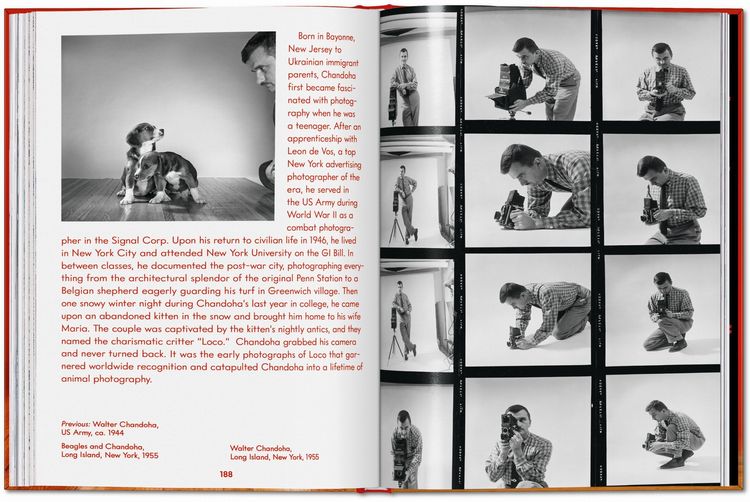 Produktbild: Walter Chandoha. Dogs. Photographs 1941&ndash;1991