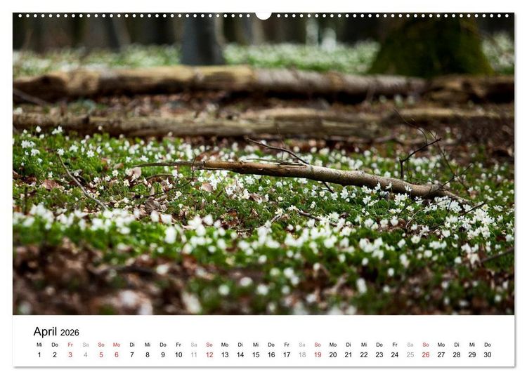 Produktbild: R&uuml;gen (Wandkalender 2026 DIN A2 quer), CALVENDO Monatskalender