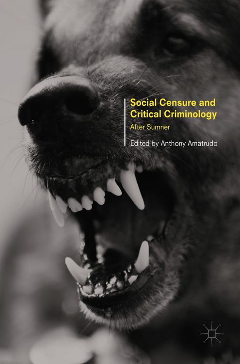Produktbild: Social Censure and Critical Criminology
