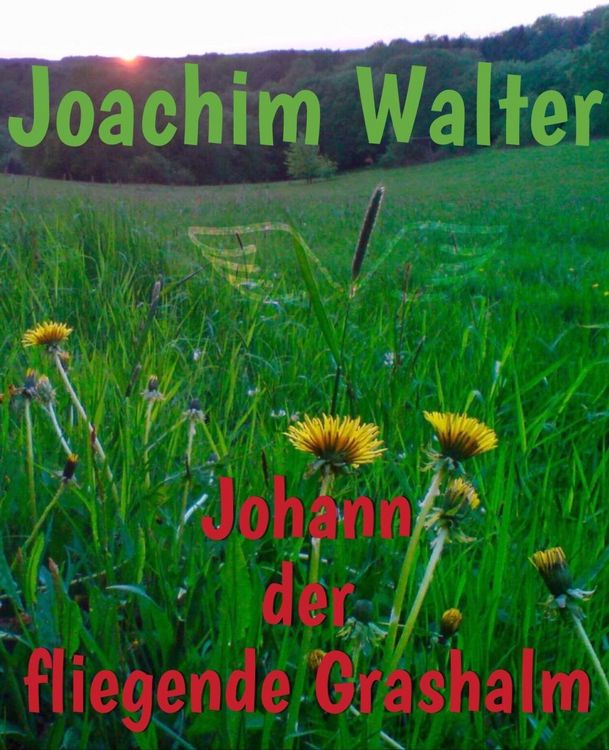 Produktbild: Johann der fliegende Grashalm