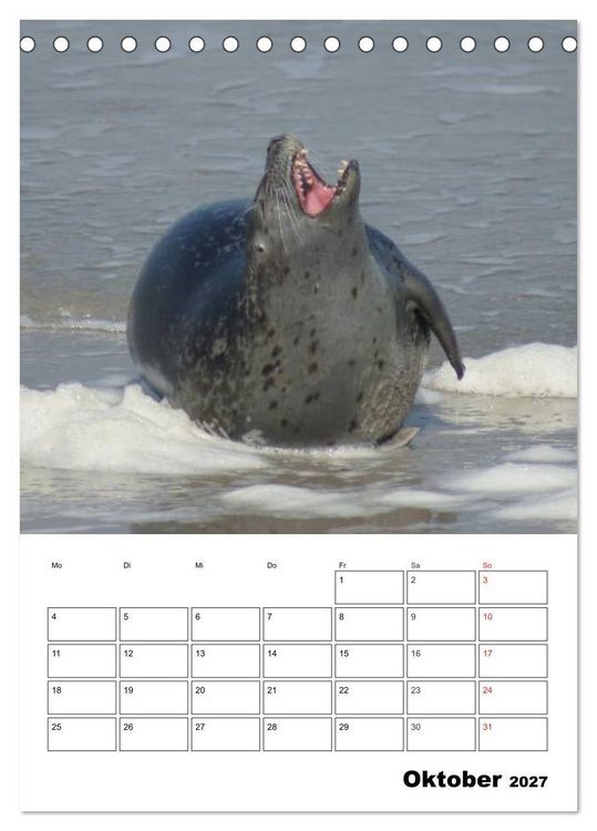 Produktbild: Liebenswerte Robben (Tischkalender 2027 DIN A5 hoch), CALVENDO Monatskalender