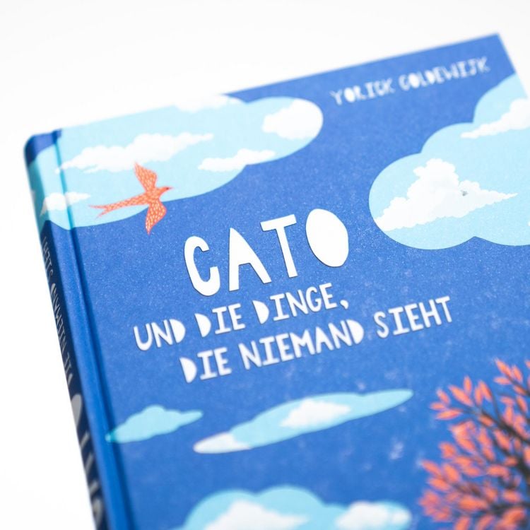 Produktbild: Cato und die Dinge, die niemand sieht