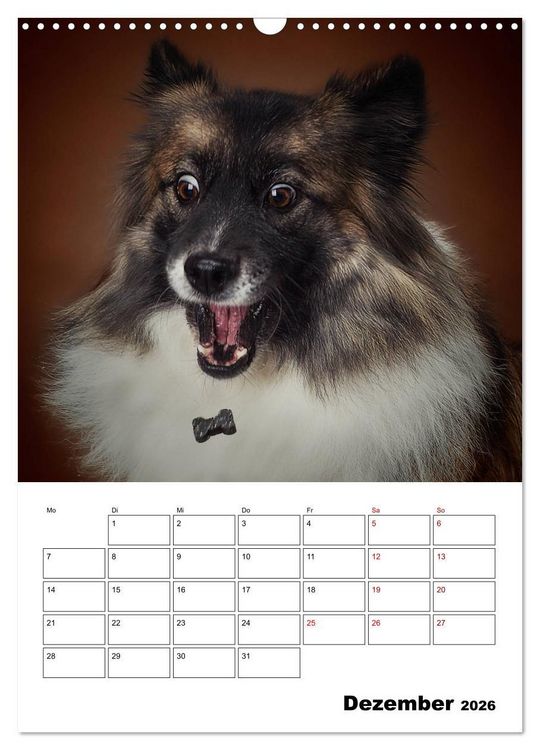 Produktbild: Fang das Leckerli (Wandkalender 2026 DIN A3 hoch), CALVENDO Monatskalender